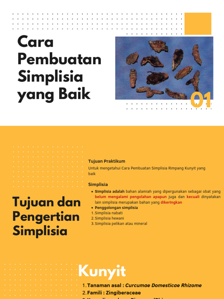 Pembuatan Simplisia Kunyit yang Baik | PDF | Sains & Matematika