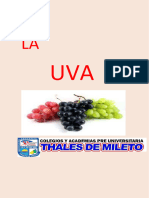 Trabajo de La Uva 2 FALta Caratula Yap