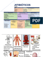 Notas y Cuadros Farma Final