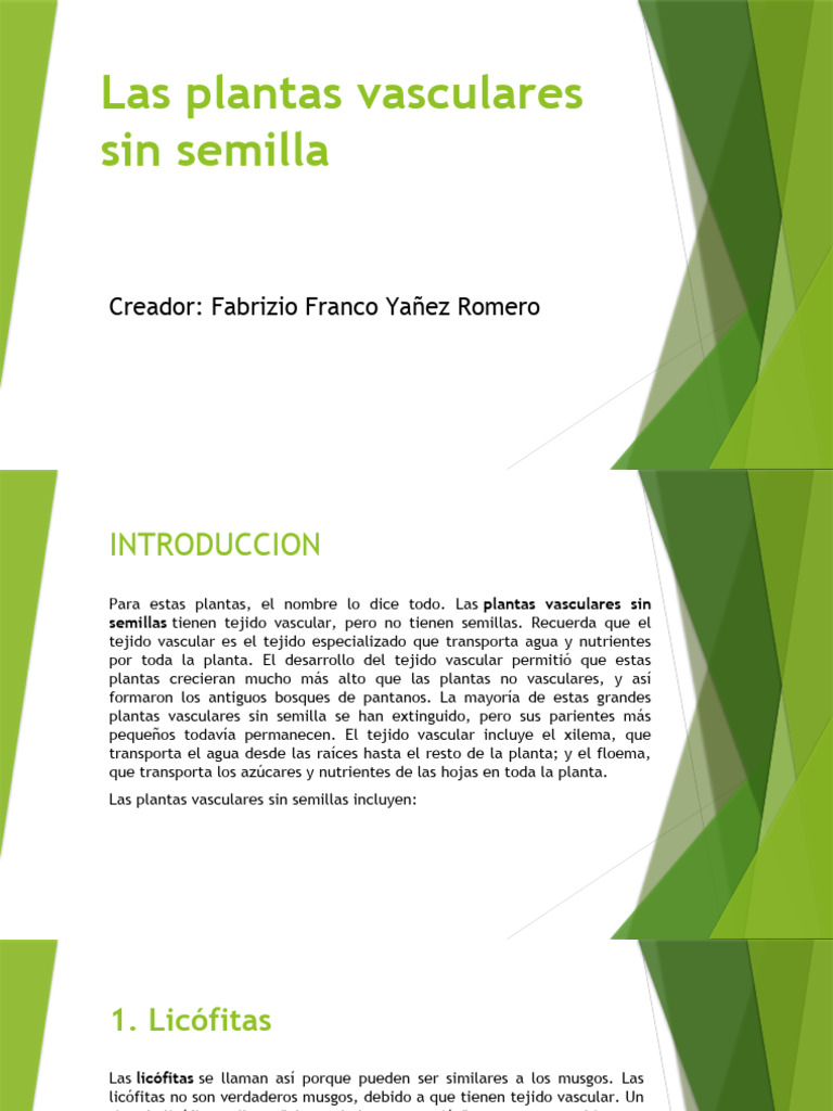 qué intelligence overview