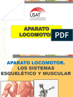 Aparato Locomotor