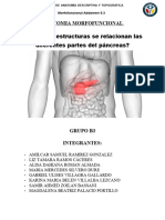 5.3 Supramesocólico II