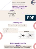 Secuelas de Chikungunya