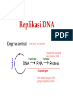 10a - Replikasi DNA