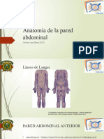 Anatomia de La Pared Abdominal