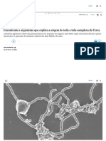 Encontrado o Organismo Que Explica A Origem de Toda A Vida Complexa Da Terra - Ciência - EL PAÍS Brasil