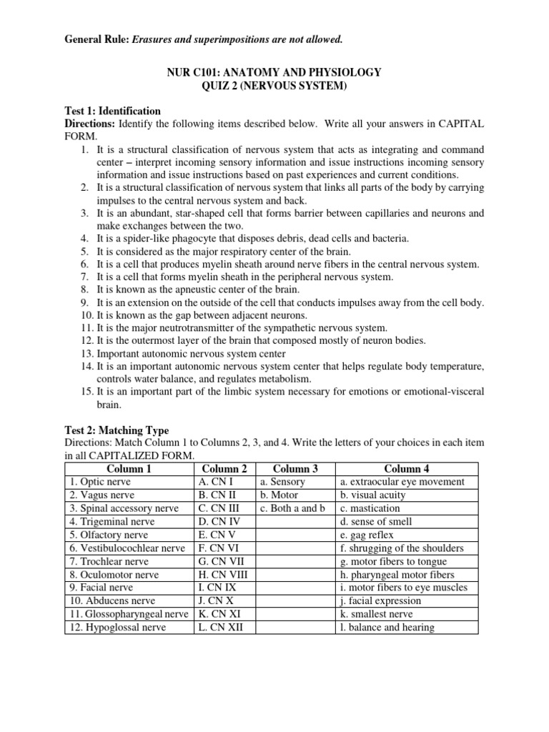 Nervous System Quiz PDF Nervous System Adrenal Gland