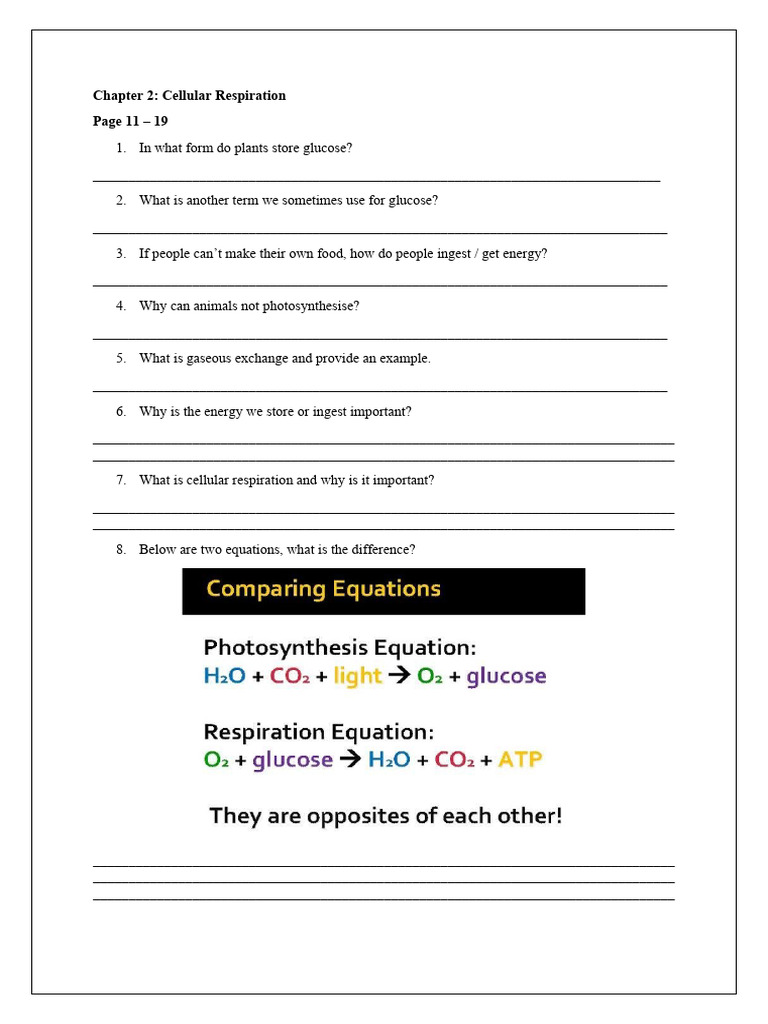 Chapter 2 Cellular Respiration Pdf Cellular Respiration