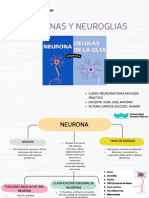 Neuroanatomia Aplicada Practico