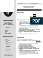 Curriculum Vitae l1