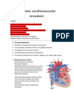 Sistema Cardiovascular Resumen