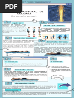 Guía de Higiene de Columna | PDF | La columna vertebral