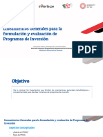 Lineamientos Generales de Formulacion y Evaluacion