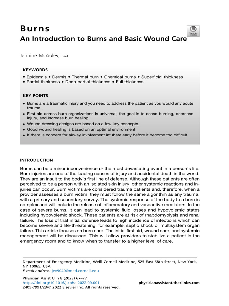 Burns an introduction to burns and basic wound 2023 physician