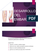 3.-Desarrollo Del Embarazo