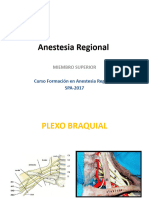 B Anestesia Regional MS