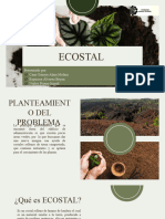 Ecostal 1
