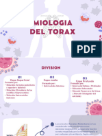 Miologia Toracica