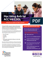 Vietnamese Flyer