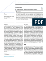 Case of Anorchia in A Mixed-Breed Dog