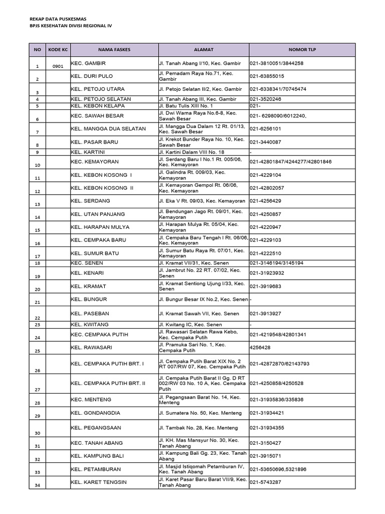 Rekap Data Faskes | PDF