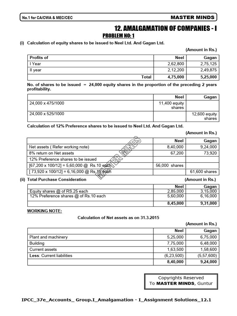 Amalgamation of Companies PDF Debits And Credits Equity (Finance)