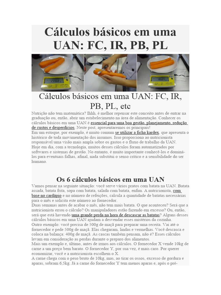 c-lculos-b-sicos-em-uma-uan-download-gr-tis-pdf-batata-carne