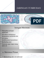 Jaringan Pelindung Jaringan Tumbuhan Bio