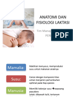 Anatomi Fiso Laktasi