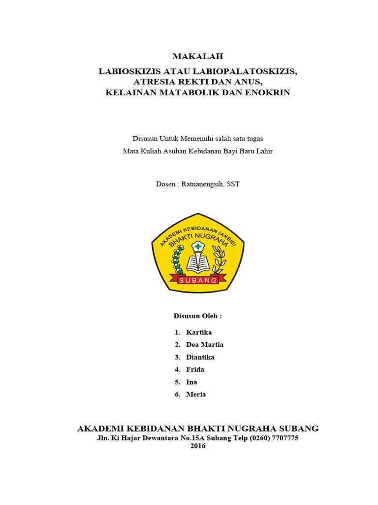 Kajian Labioskizis dan Labiopalatoskizis | PDF | Kesehatan Holistik ...