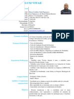 Curriculum Vitae Geral