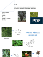 Plantas Medicinales