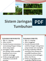 II. Jaringan Tumbuhan Sri