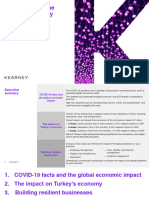 COVID-19 and Effects On Turkey - v1