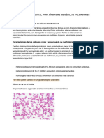 Diagnostico Diferencial para Sindrome de Células Falciformes