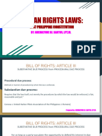 Im 03 Human Rights Laws The 1987 Philippine Constitution
