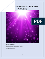 Manual de La Junta Karmica y El Rayo Violeta