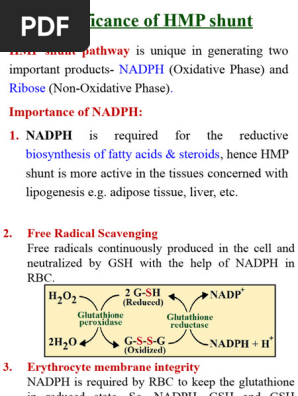 glutathione reductase ppt Significance of HMP Shunt Pathway