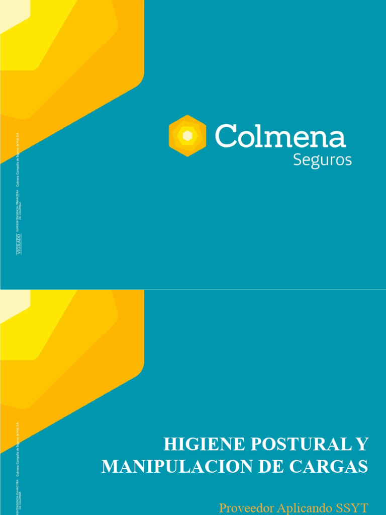 Higiene Postural y Manipulación de Cargas | PDF | Dolor lumbar ...