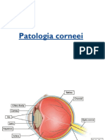Oftalmologie Cataracta