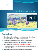 Cell Membrane and Cell Transport