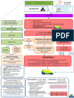 Valorar Tep Tep:: Pariencia: Trabajo Espiratorio: Irculación