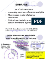 Cell Membrane