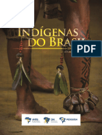 RELATÓRIO Indígenas No Brasil 2018