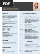 Modelo De Curr culo CV PDF Angola