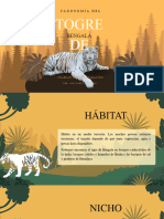 Taxonomía Del Tigre de Bengala