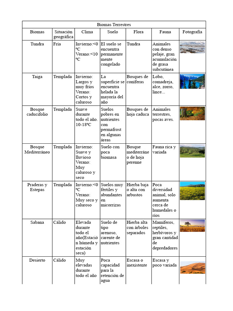 Climas Bio | PDF | Fenómenos de la tierra | Climatología