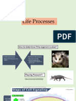 Life Processes (Digestion)