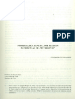 Problematica General Del Regimen Patrimonial Del Matrimonio