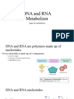 DNA and RNA Metabolism